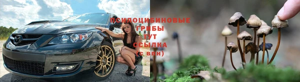 мдма Гусев