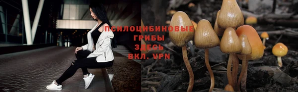 меф Горняк