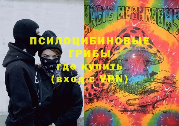 стафф Гусь-Хрустальный