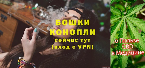 стафф Гусь-Хрустальный